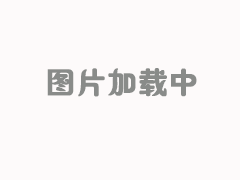 <b>膜片联轴器的受力标准</b>